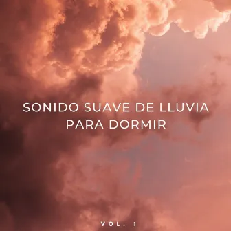 Sonido Suave De Lluvia Para Dormir Vol. 1 by Relajarse Meditar Sueño Medios