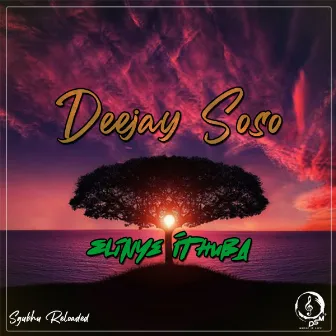 Elinye Ithuba by Deejay Soso