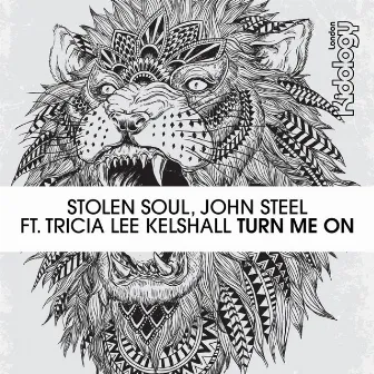 Turn Me On by Stolen Soul