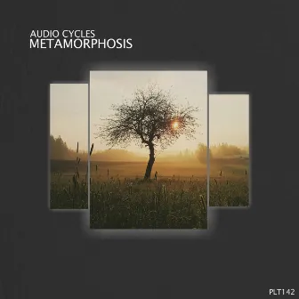 Metamorphosis by Audio Cycles