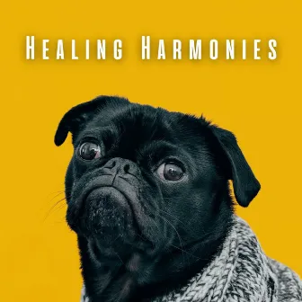 Healing Harmonies: Chill Music for Restful Dogs by Grant Healing