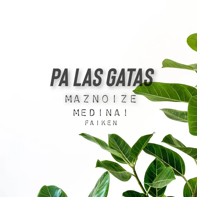 Maznoize Medina! & Faiken-Pa Las Gatas