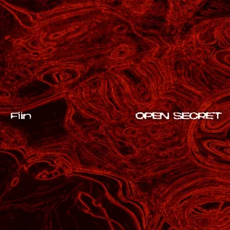 Open Secret by Fiin