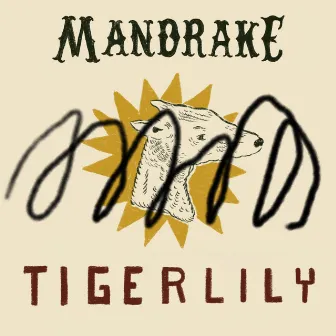 Tigerlily by Mandrake