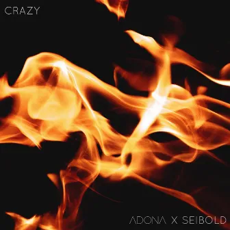 Crazy by Seibold