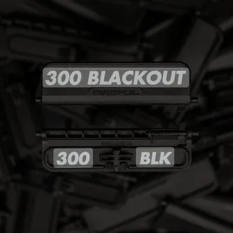 300 BLACKOUT by Sham Ebk