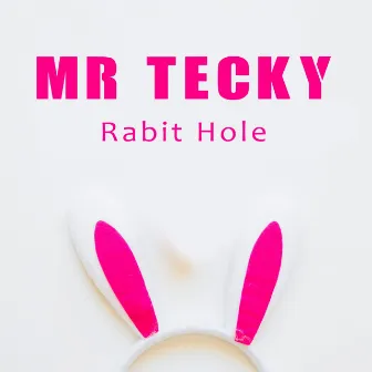 Rabit Hole by Mr Tecky