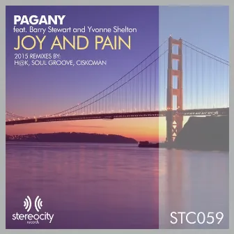 Joy & Pain (2015 Remixes) by Yvonne Shelton