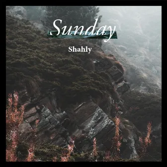 Sunday by Shahly