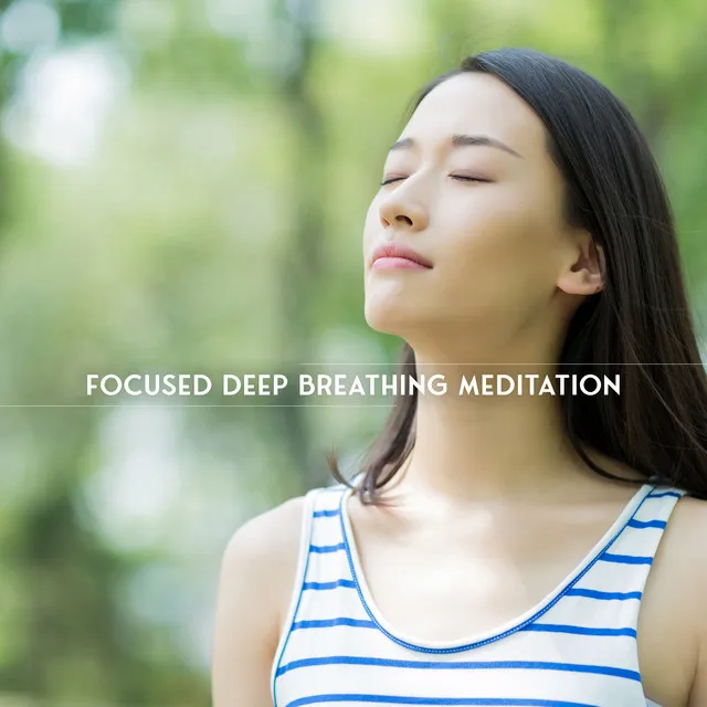 Focused Deep Breathing Meditation: Mindful Breathing Exercise, Relaxation Music, Calm Meditation