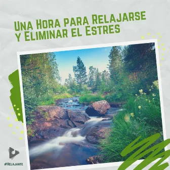 1 Hora para Relajarse y Eliminar el Estrés by #Relajante