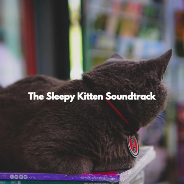 The Sleepy Kitten Soundtrack