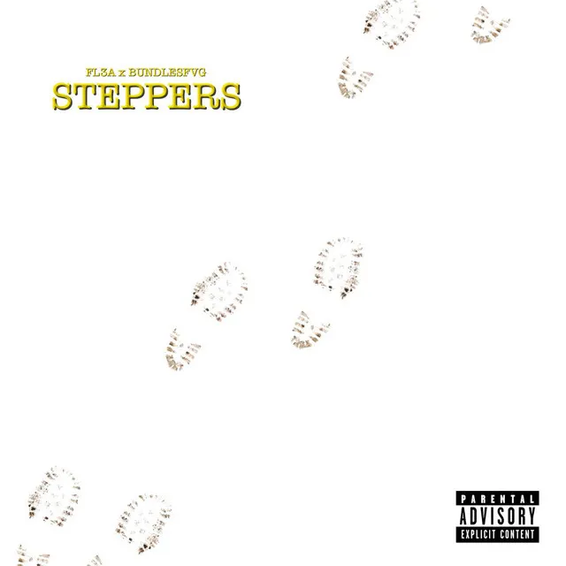 STEPPERS