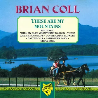 These Are My Mountains by Brian Coll