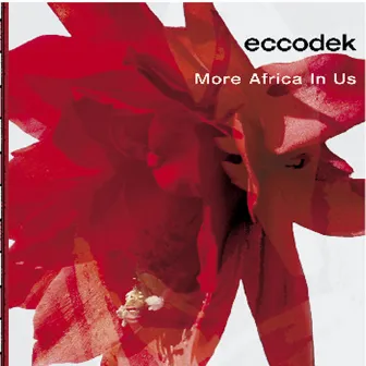 More Africa in Us by Eccodek