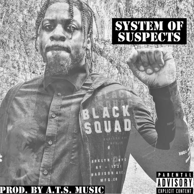 System of Suspects Freestyle