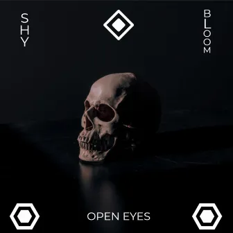 Open Eyes by Unknown Artist