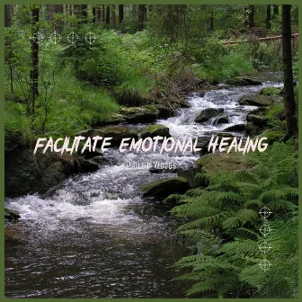 Facilitate Emotional Healing by Everlight