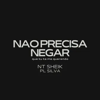 NAO PRECISA NEGAR QUE TU TA ME QUERENDO by DJ PL SILVA