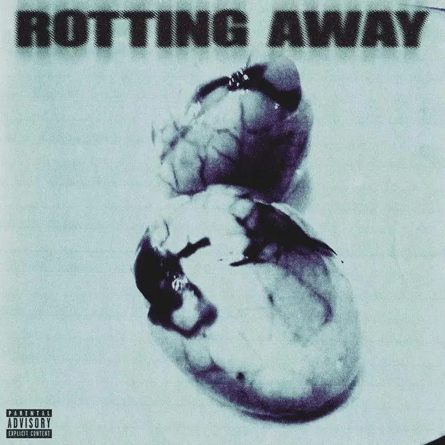 ROTTING AWAY