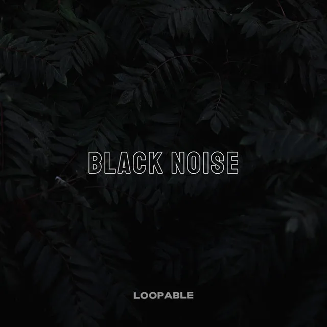 Black Noise Loopable