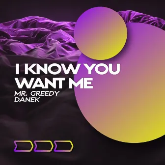 I Know You Want Me by Danek