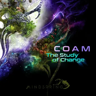 The Study Of Change by COAM