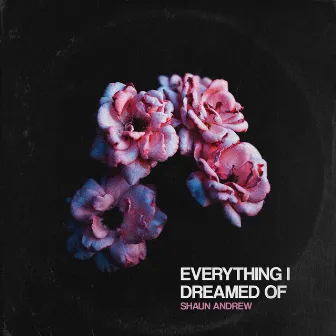 Everything I Dreamed Of by Shaun Andrew