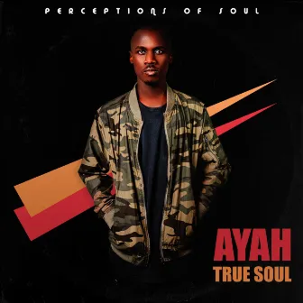 Perceptions Of Soul by Ayah True Soul