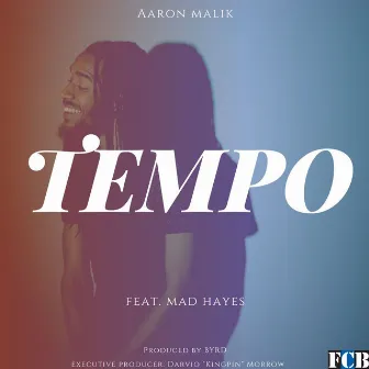 Tempo by Aaron Malik