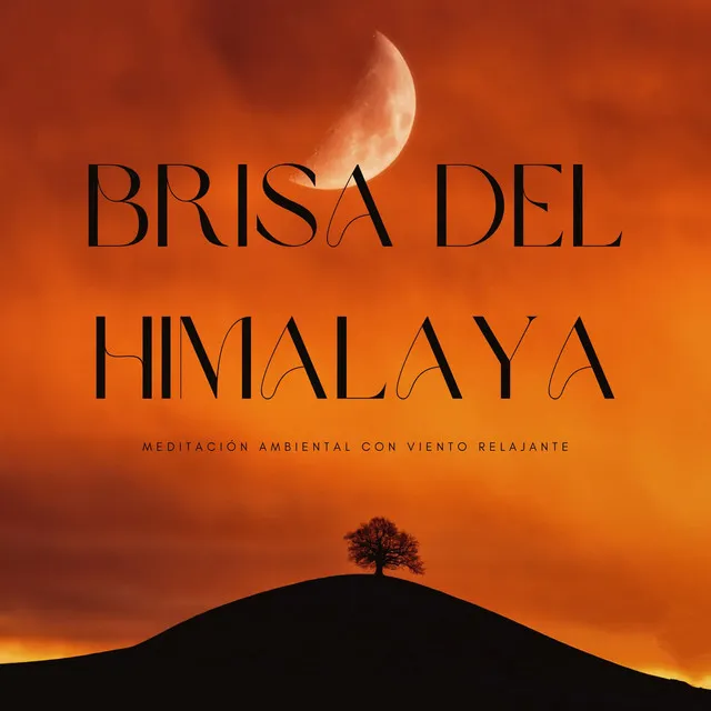 Brisa Del Himalaya: Meditación Ambiental Con Viento Relajante