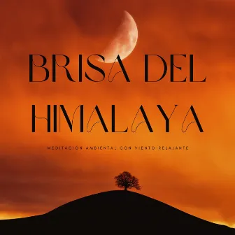 Brisa Del Himalaya: Meditación Ambiental Con Viento Relajante by Naturaleza sagrada