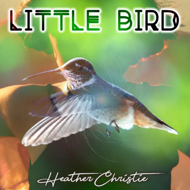 Little Bird