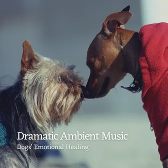 Dramatic Ambient Music: Dogs' Emotional Healing by Sleepy Dogs