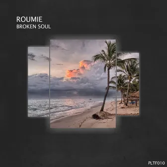 Broken Soul by Roumie