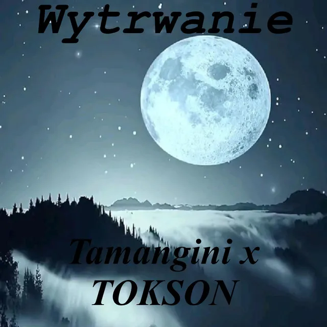 Wytrwanie