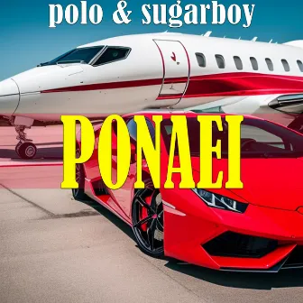 Ponaei by Polo