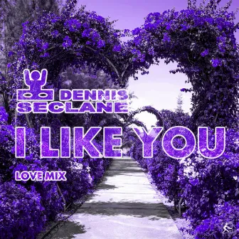 I Like You (Love Mix) by Dennis Seclane