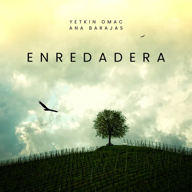 Enredadera