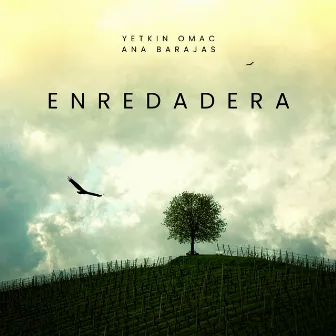 Enredadera by Ana Barajas