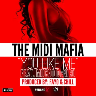 You Like Me (feat. Mucho Deniro) - Single by The Midi Mafia