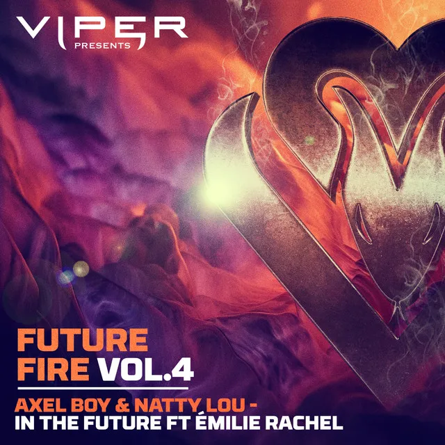 In The Future (Future Fire Vol.4)