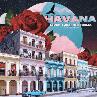 Havana by Joe Kox