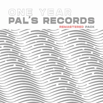 One Year Pal's Records [Remastered Pack] by DE RHAM