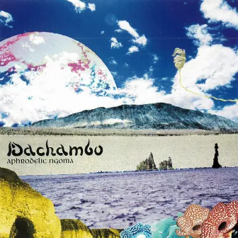 aphrodelic ngoma by DACHAMBO