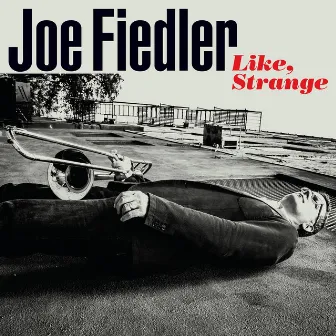 Like, Strange by Joe Fiedler