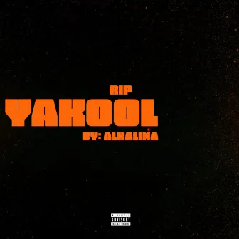 Rip Yakool by Alkalina