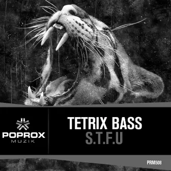 S.T.F.U by Tetrix Bass