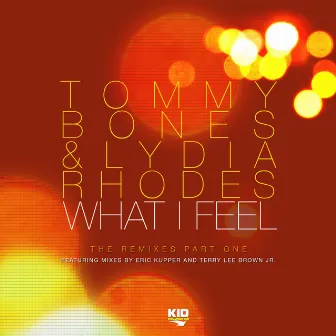 What I Feel (The Remixes Part One) by Tommy Bones