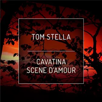 Cavatina by Tom Stella